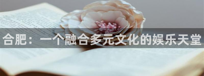 今年会
