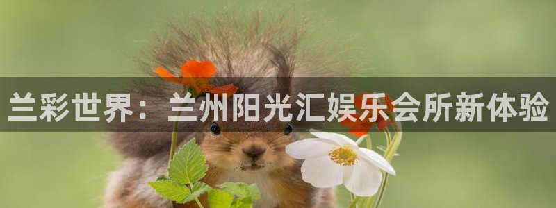 今年会体育